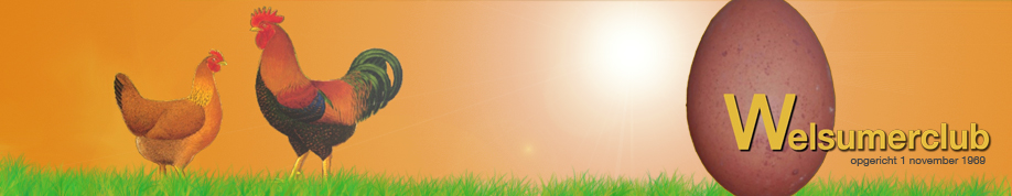 Welsummer club Nederlands